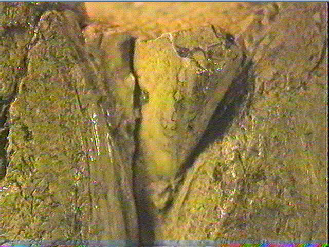 L'ébauche_2