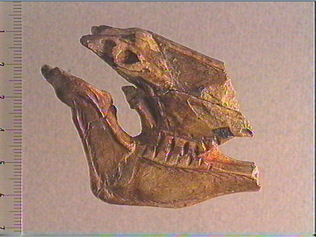 Statuette_0