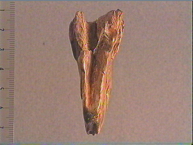 Statuette_3