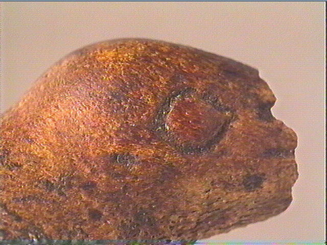 Statuette_3