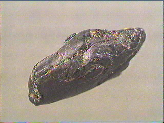 Statuette_2