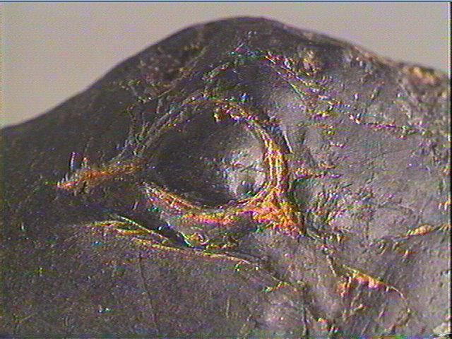 Statuette_3