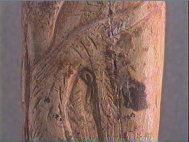 Os indéterminé_3