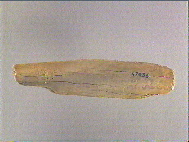 Côte_3