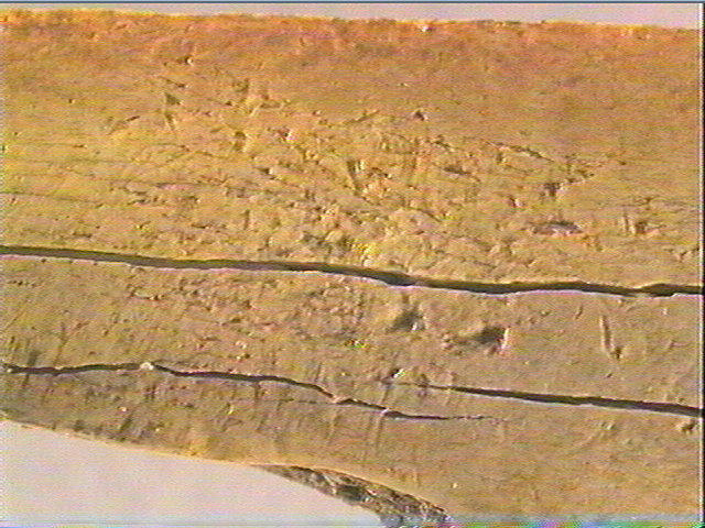 Côte_5
