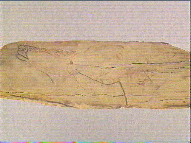 Côte_1