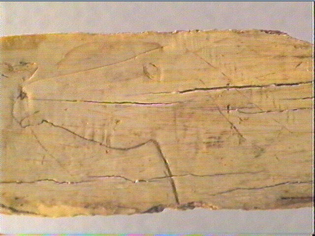 Côte_2