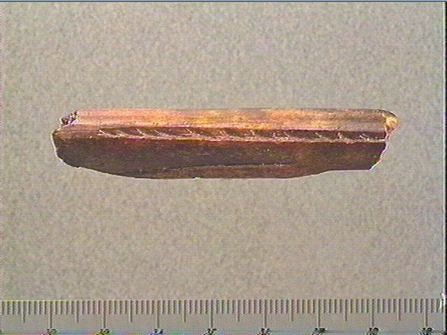 Baguette_1