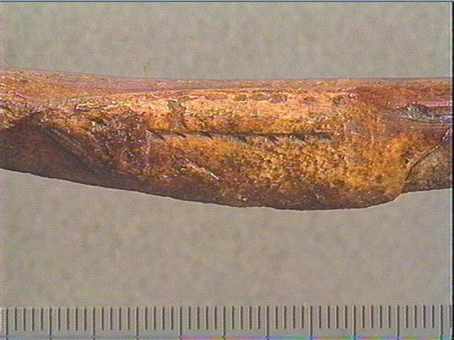 Baguette_3