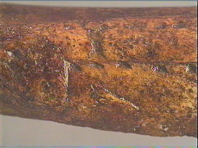 Baguette_6