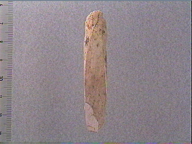 Pendeloque (phallique, ?)_0