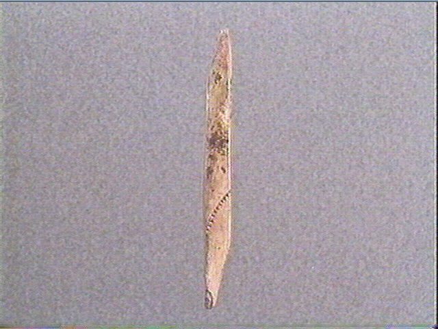 Pendeloque (phallique, ?)_1