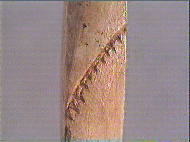Pendeloque (phallique, ?)_5