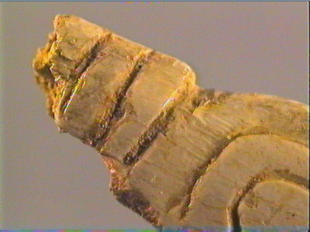 Contour découpé_5