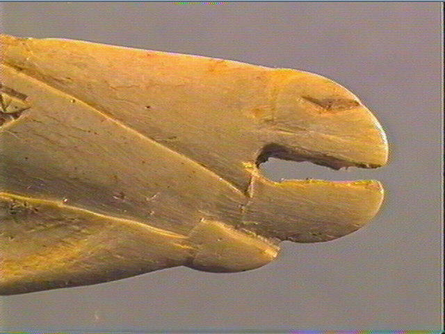 Contour découpé_3