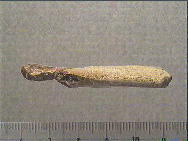 Contour découpé, scapula_6