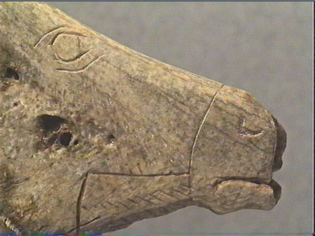 Contour découpé, scapula_2
