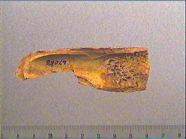 Os indéterminé, tube_1