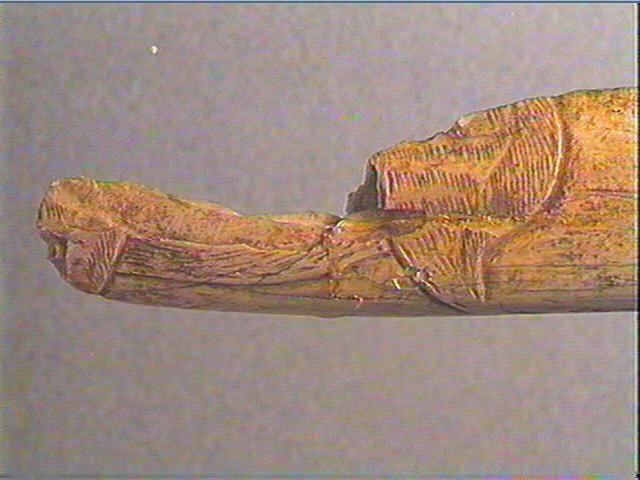 Os indéterminé, tube_5