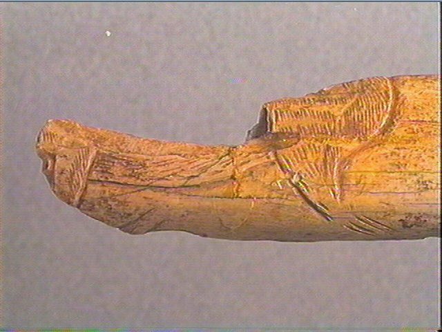Os indéterminé, tube_6