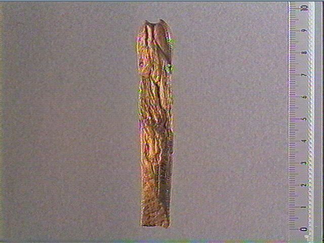 Pendeloque (phallique)_1