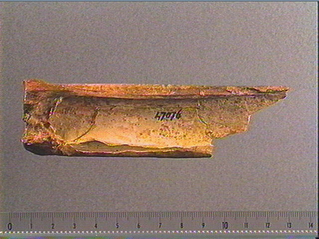 Os canon_1