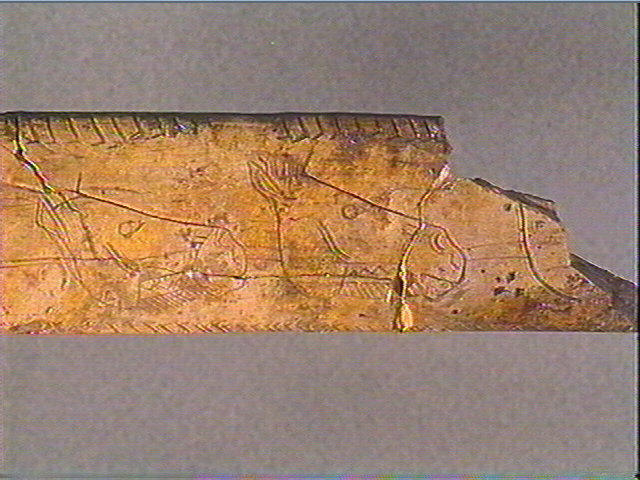 Os canon_2