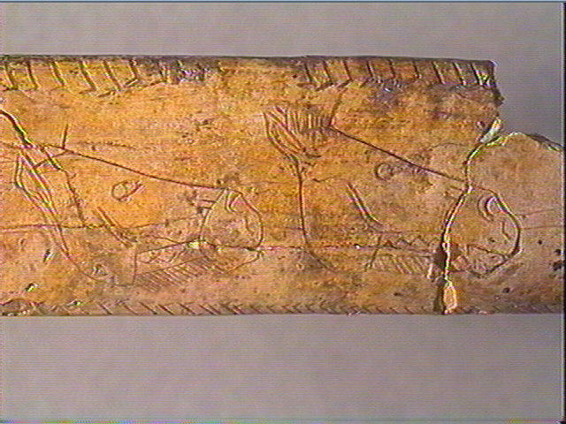 Os canon_3