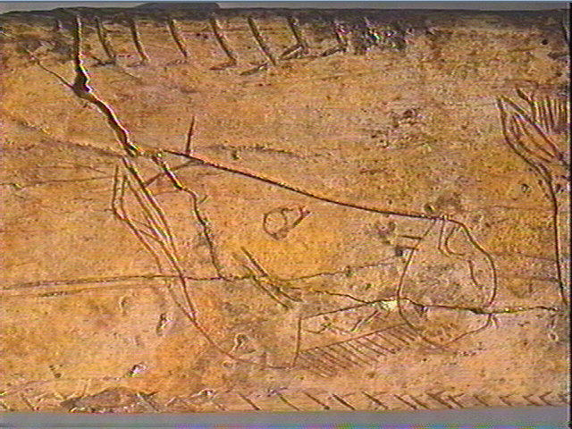 Os canon_4