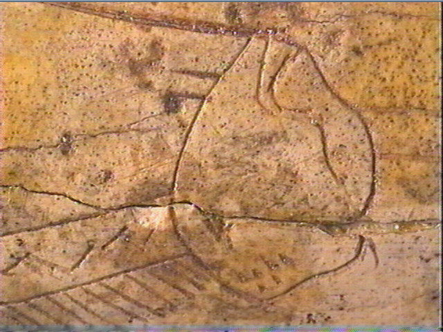 Os canon_5