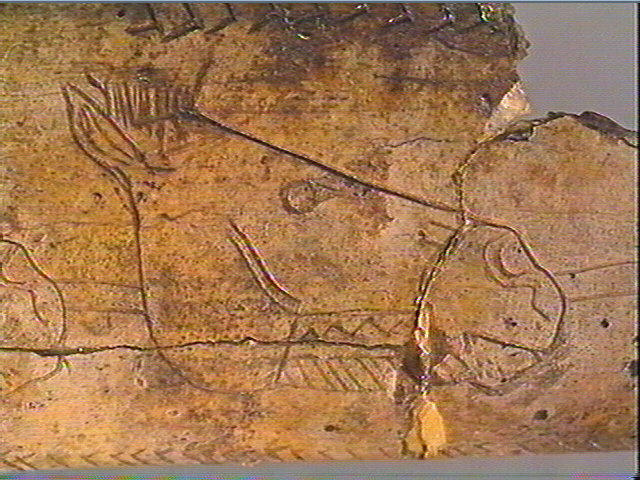 Os canon_6