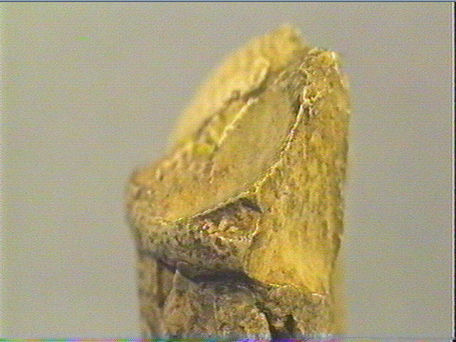 La figurine à la ceinture_5