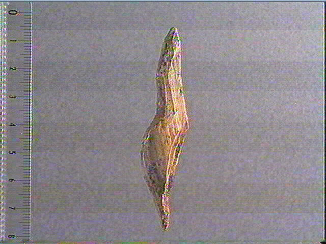 Statuette_0
