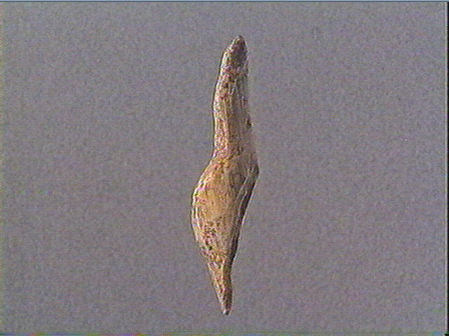 Statuette_4