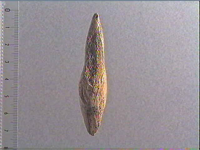 Statuette_5