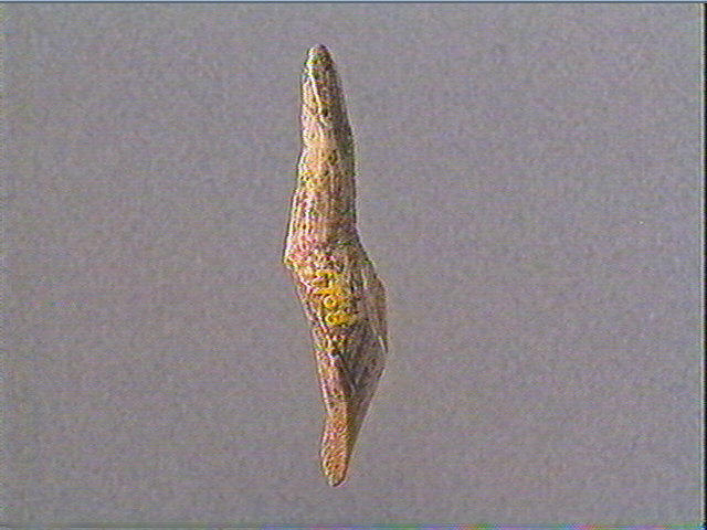 Statuette_2