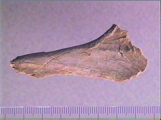 Contour découpé_0