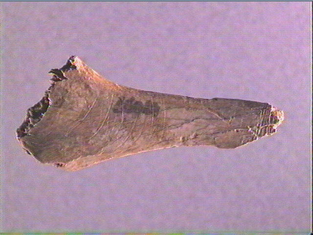 Contour découpé_1