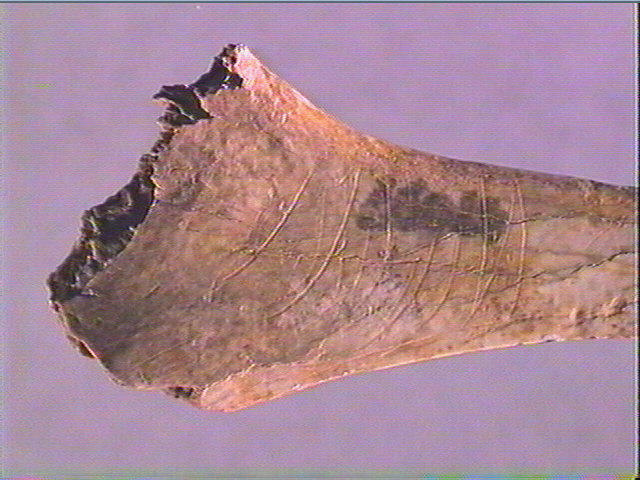 Contour découpé_3