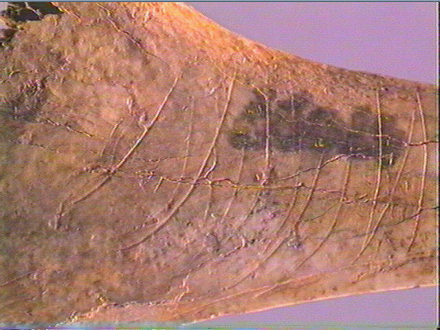 Contour découpé_4