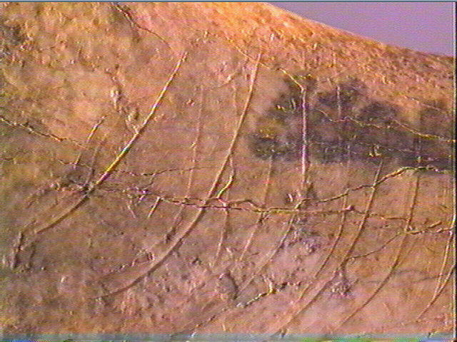 Contour découpé_5