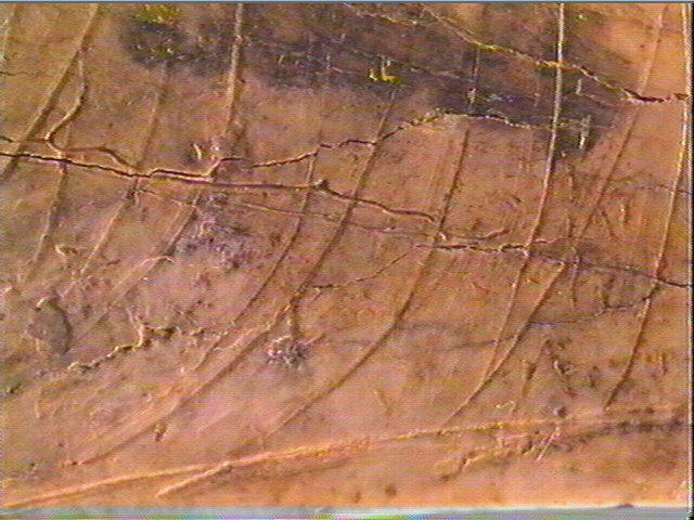 Contour découpé_6