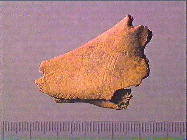 Contour découpé_0