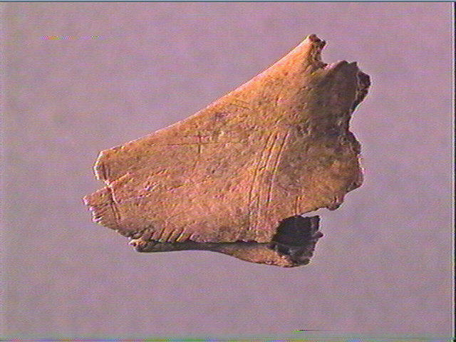 Contour découpé_1