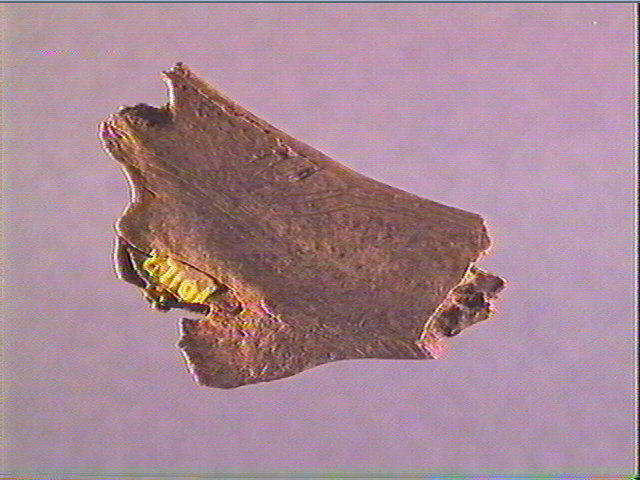 Contour découpé_2