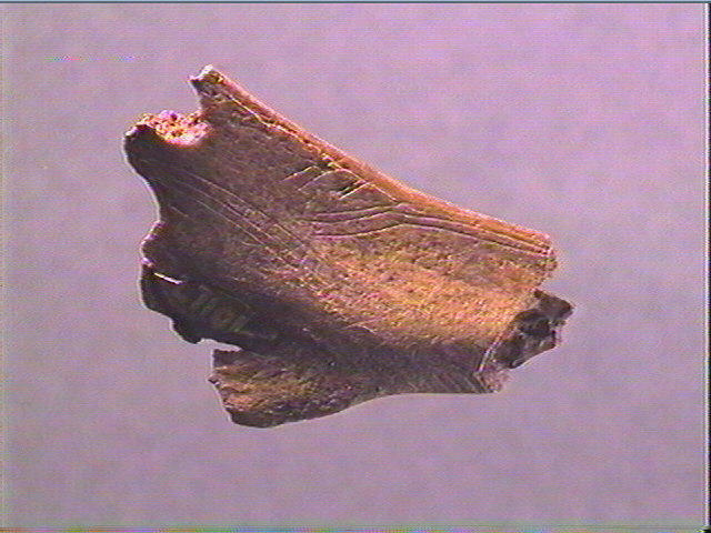 Contour découpé_3