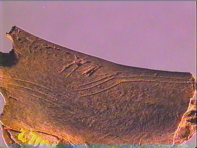 Contour découpé_4