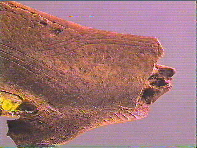 Contour découpé_6