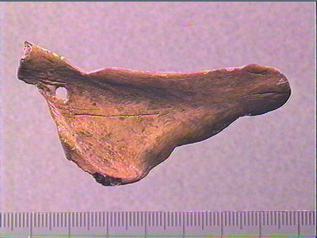 Contour découpé_0