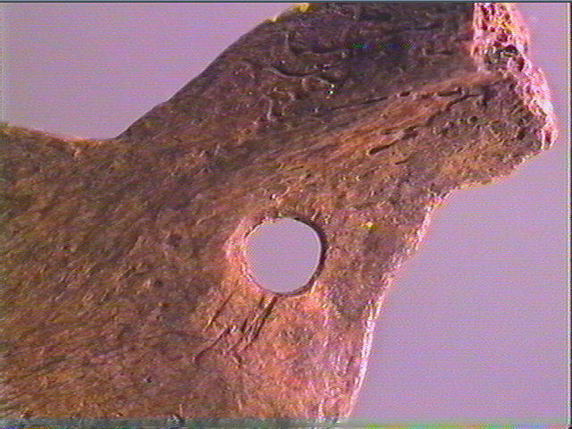 Contour découpé_2